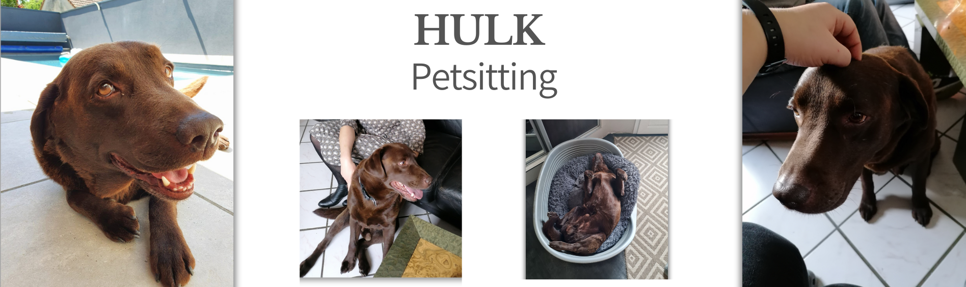 MA PRESTA Hulk