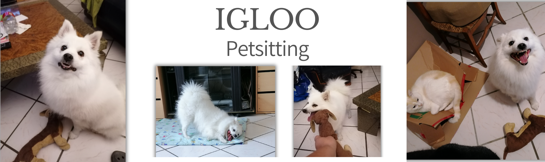 MA PRESTA Igloo