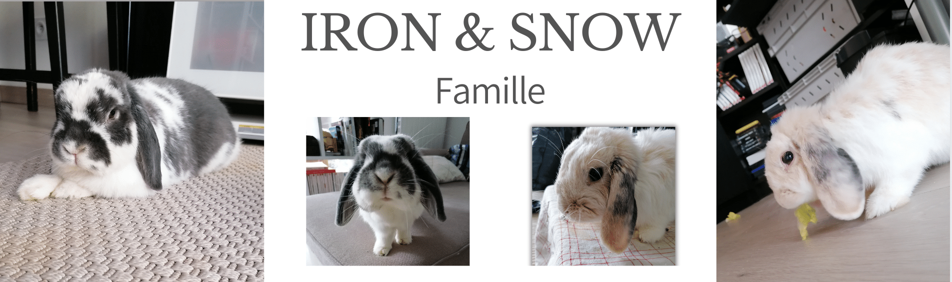 MA PRESTA Iron et SNOW