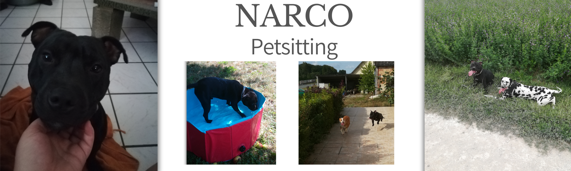 MA PRESTA Narco
