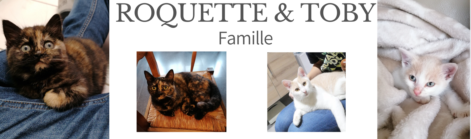 MA PRESTA Roquette et Toby