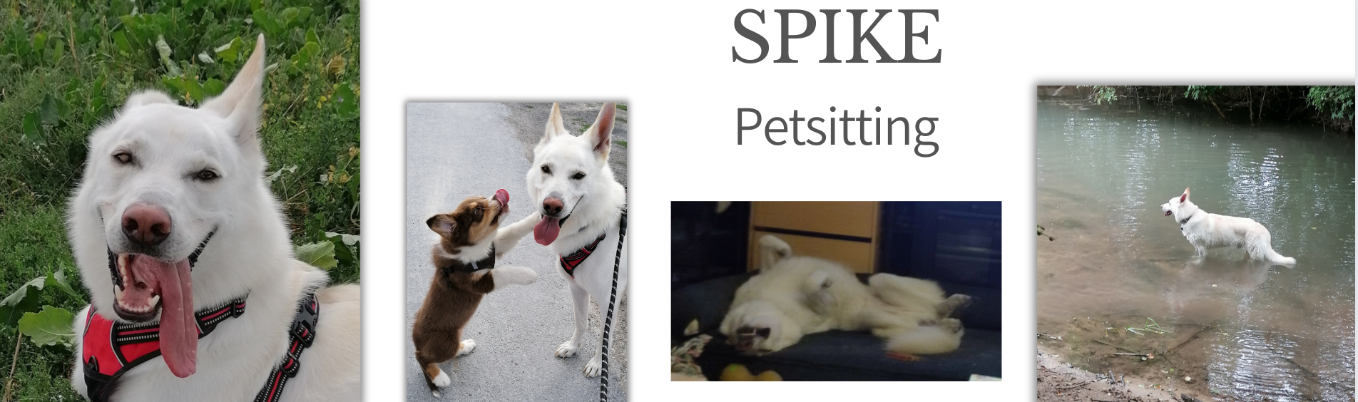 MA PRESTA Spike