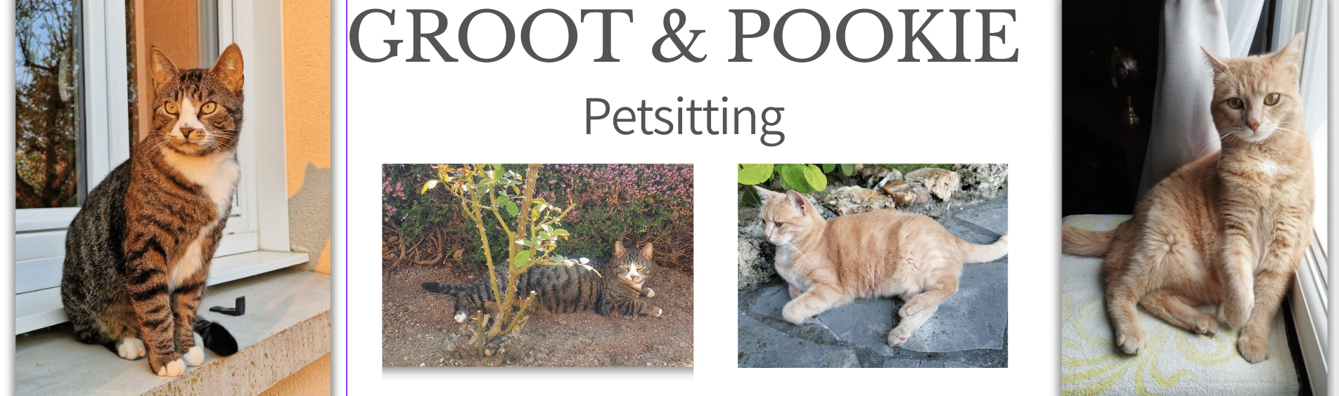 MA PRESTA Groot et Pookie